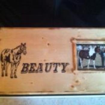 Preview: Boxenschilder mit Namen, Grafik & Foto