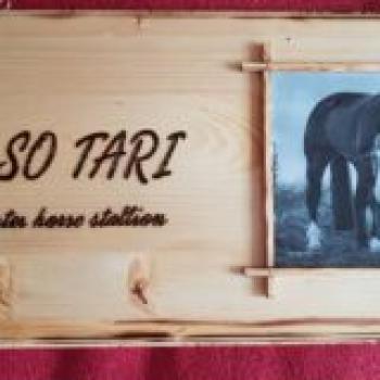 Preview: Boxenschilder mit Namen, Grafik & Foto